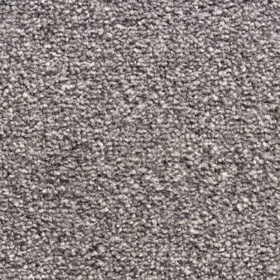 Vanguard Eminence - Fossil