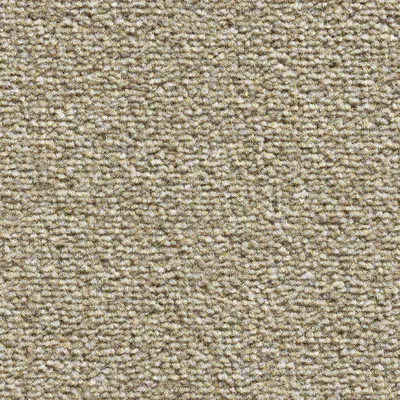 Vanguard Eminence - Olive