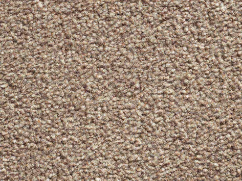 Vanguard Eminence - Sepia