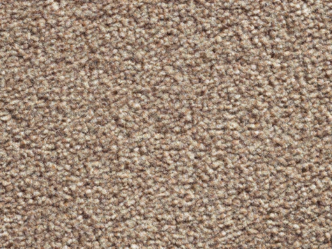 Vanguard Eminence - Sepia