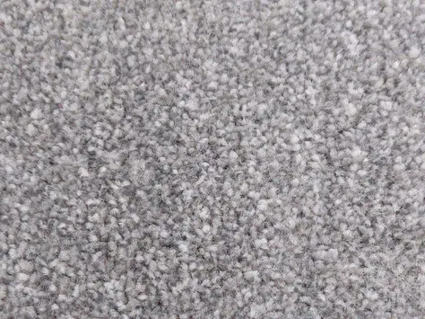 Vanguard Emperor - African Grey