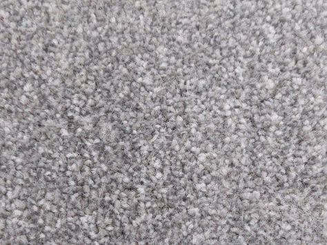 Vanguard Emperor - African Grey