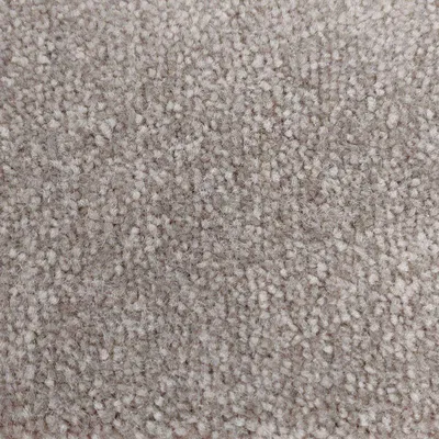 Vanguard Emperor - Almond