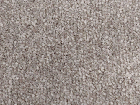 Vanguard Emperor - Almond