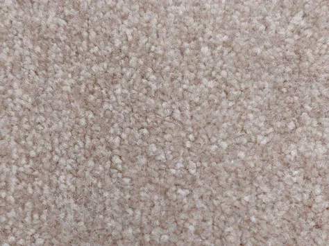 Vanguard Emperor - Cookie Dough