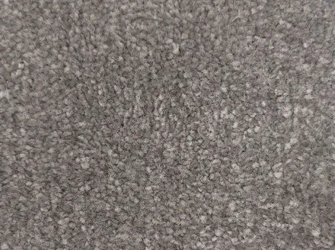 Vanguard Emperor - Dolphin