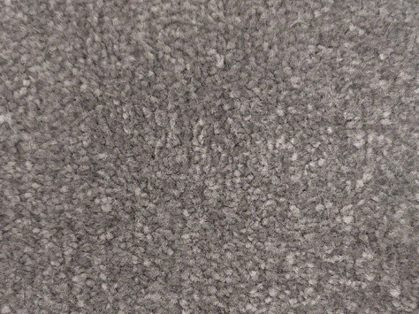 Vanguard Emperor - Dolphin