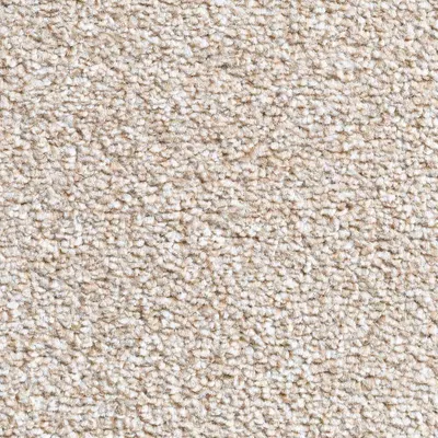 Condor Lazio Heather - Biscuit