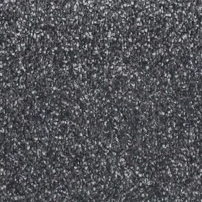 Vanguard Manhattan Saxony - Hudson Fossil