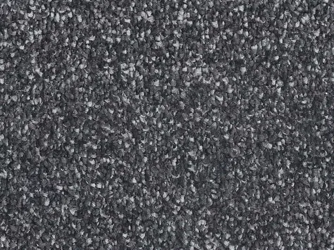 Vanguard Manhattan Saxony - Hudson Fossil