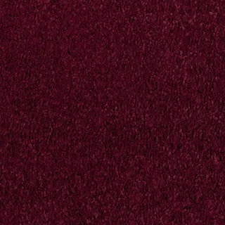 Vanguard Manhattan Saxony – Park Berry