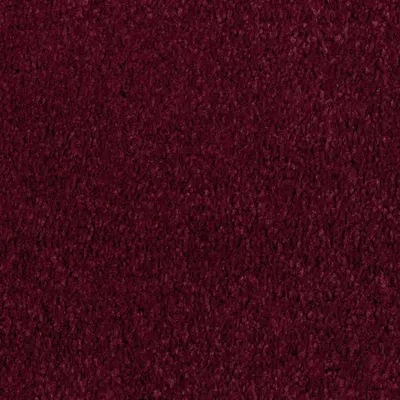 Vanguard Manhattan Saxony - Park Berry