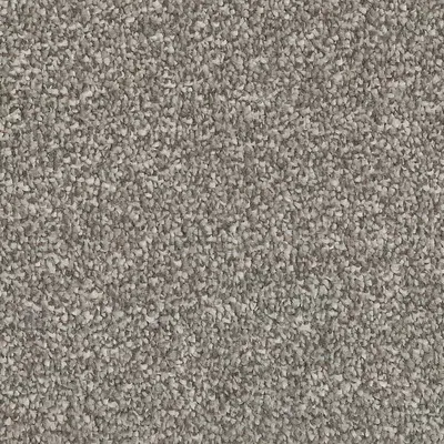 Vanguard Manhattan Saxony - Soho Latte