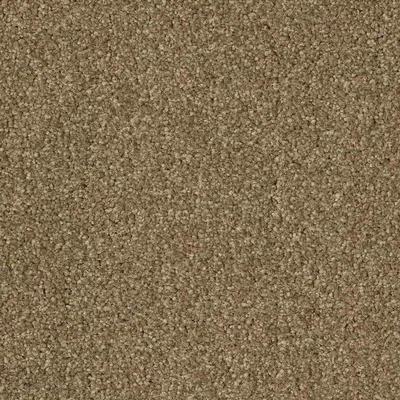 CFS Optimum Tonals - Biscuit