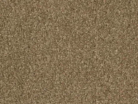 CFS Optimum Tonals - Biscuit