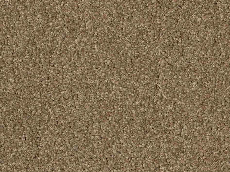 CFS Optimum Tonals - Biscuit