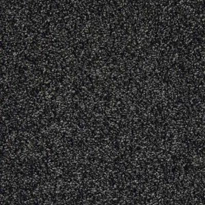 CFS Optimum Tonals - Blackberry