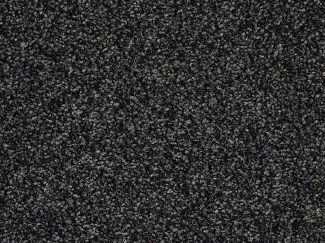 CFS Optimum Tonals - Blackberry