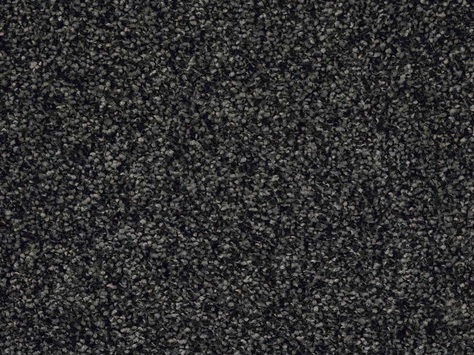 CFS Optimum Tonals - Blackberry