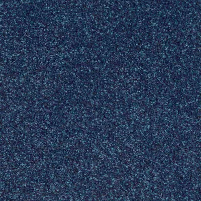 CFS Optimum Tonals - Blueberry