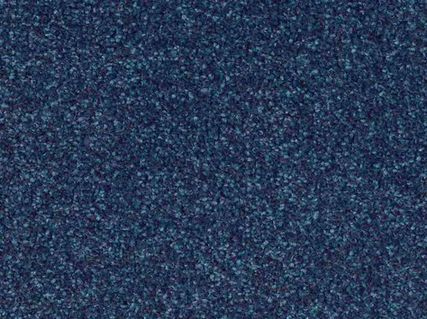 CFS Optimum Tonals - Blueberry