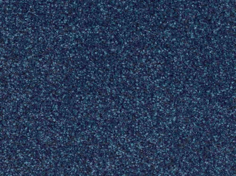 CFS Optimum Tonals - Blueberry