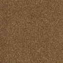 CFS Optimum Tonals – Cappuccino