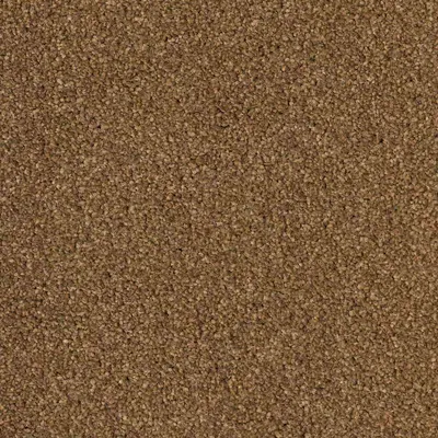 CFS Optimum Tonals - Cappuccino