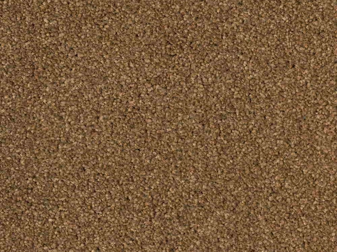 CFS Optimum Tonals - Cappuccino