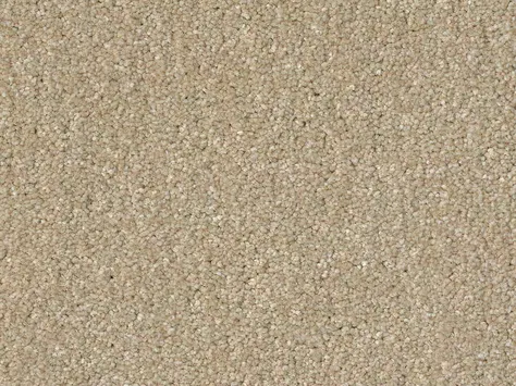 CFS Optimum Tonals - Fawn