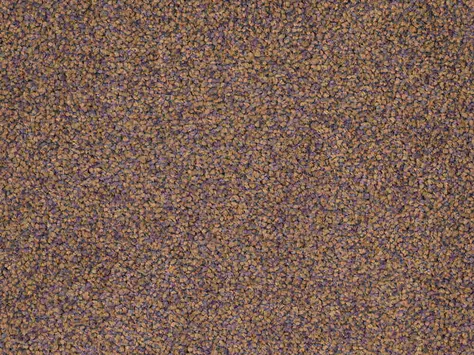 CFS Optimum Tonals - Fig