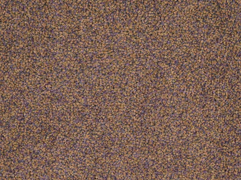 CFS Optimum Tonals - Fig