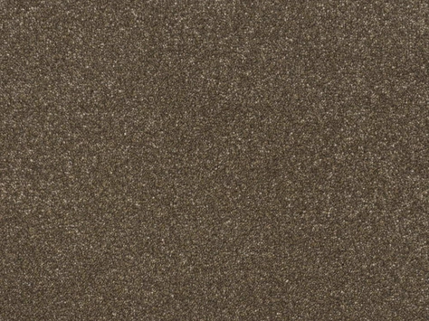 Vanguard Pinnacle Twist - Bear Cub