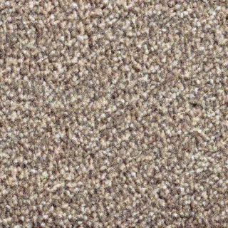 Vanguard Solstice – Cocoa