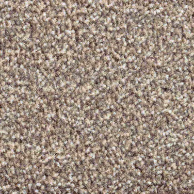 Vanguard Solstice - Cocoa