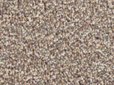 Vanguard Solstice - Cocoa