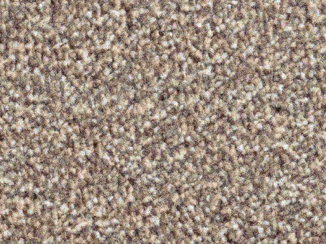 Vanguard Solstice - Cocoa