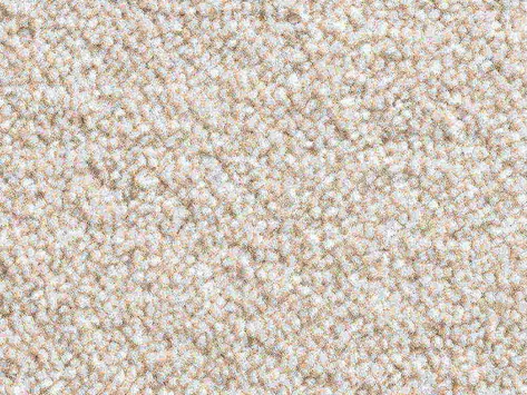 Vanguard Solstice - Oyster