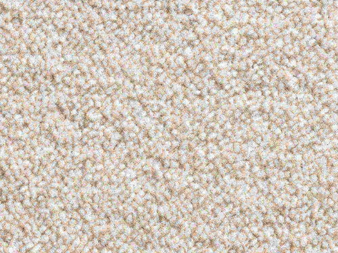 Vanguard Solstice - Oyster