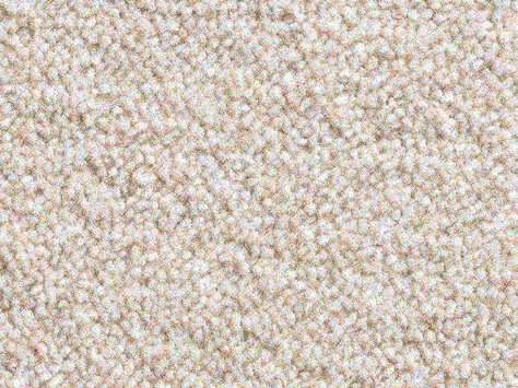 Vanguard Solstice - Oyster