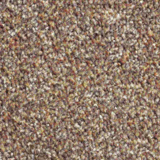 Vanguard Solstice – Rustic