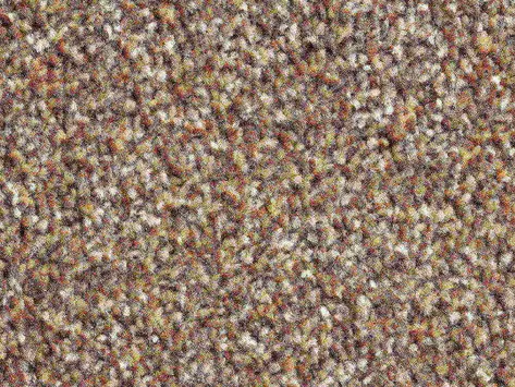 Vanguard Solstice - Rustic