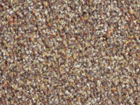 Vanguard Solstice - Rustic