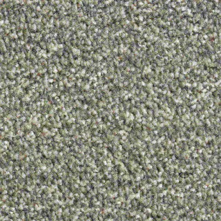 Vanguard Solstice – Sage