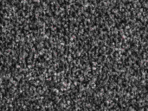 Vanguard Solstice - Shadow