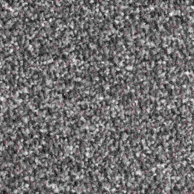 Vanguard Solstice - Slate