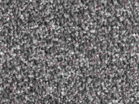 Vanguard Solstice - Slate