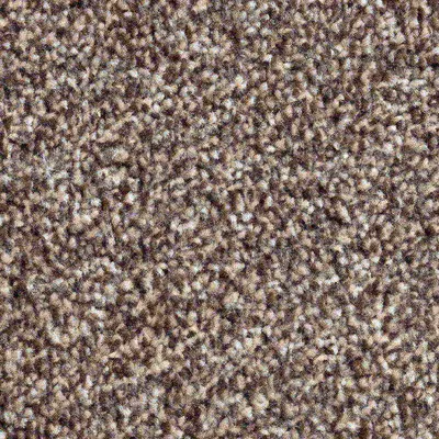 Vanguard Solstice - Truffle