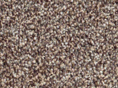 Vanguard Solstice - Truffle