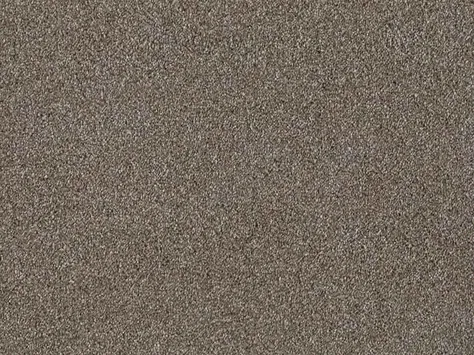 Balta Sublime - Horse Farm